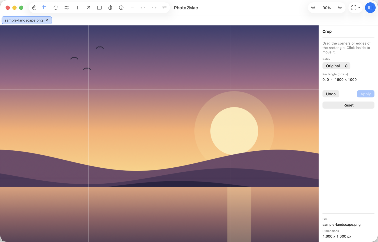 Photo2Mac Crop tool — selection rectangle with a rule-of-thirds grid and an aspect-ratio picker.